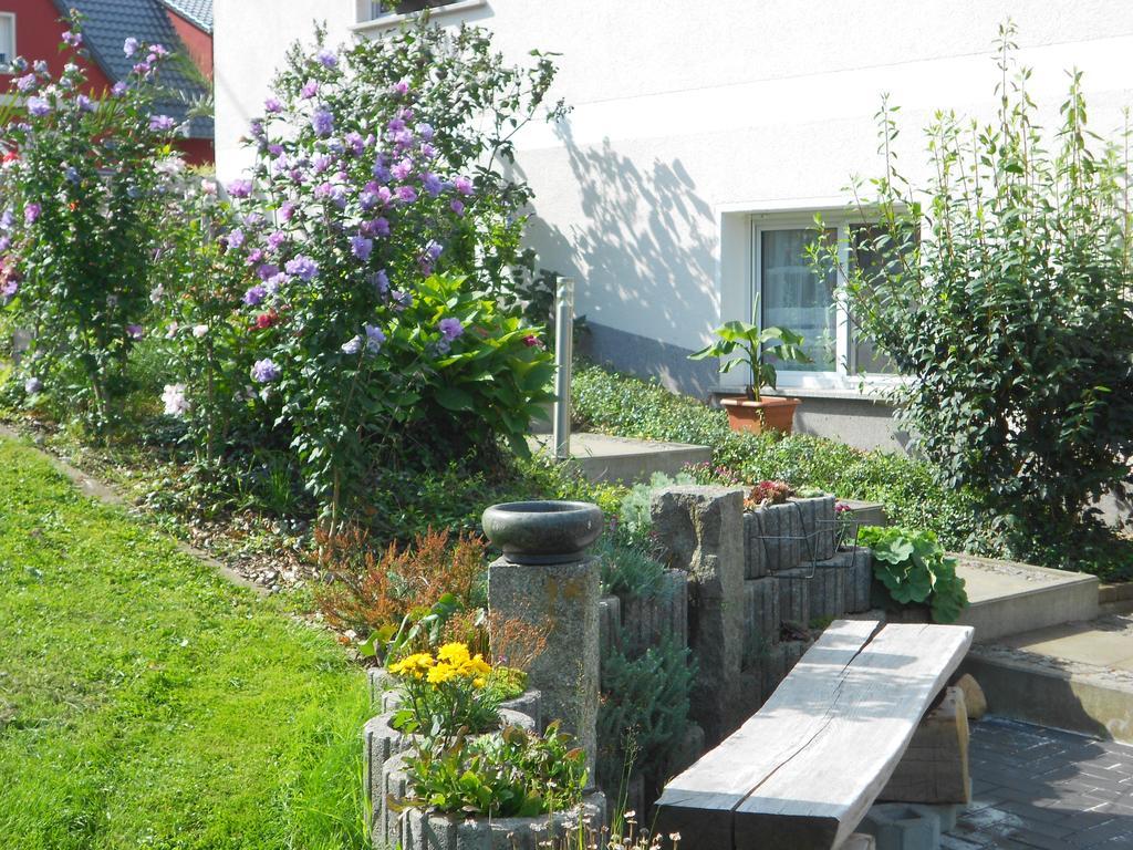 Apartment Crosta Brava